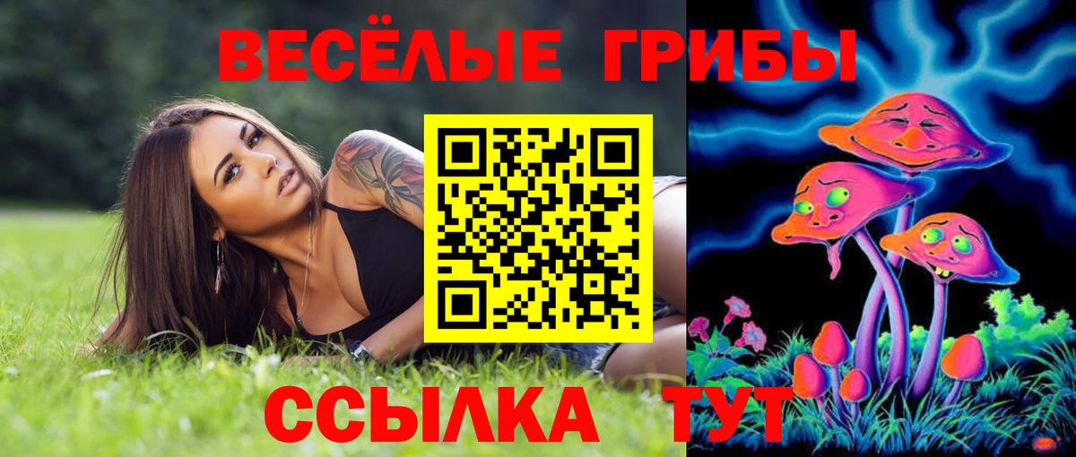 Галлюциногенные грибы Cubensis Санкт-Петербург