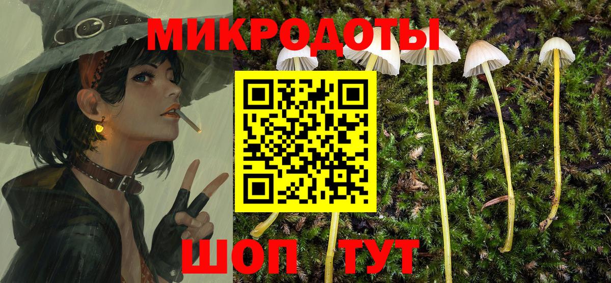 Санкт-Петербург  Псилоцибиновые грибы Psilocybine cubensis  Вход с VPN 